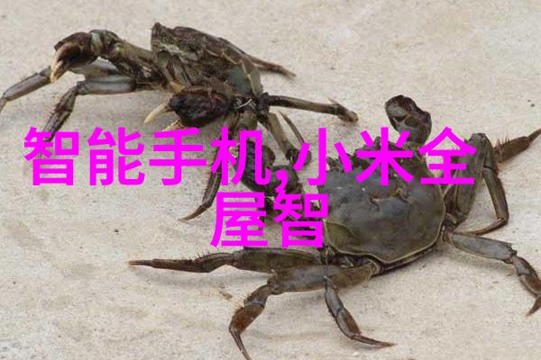 药品直接包装机械的行业发展前景如何