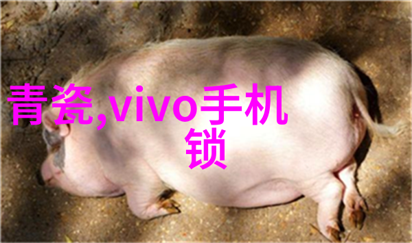 冷库设备生产厂家我是如何找到最合适的冷库设备生产厂家的