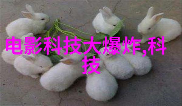 面对新冠应该如何挑选和使用防护装备