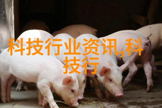 防范潜在问题避免常见错误提升报告质量