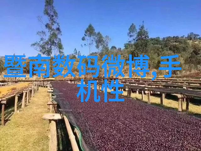 火药之痕