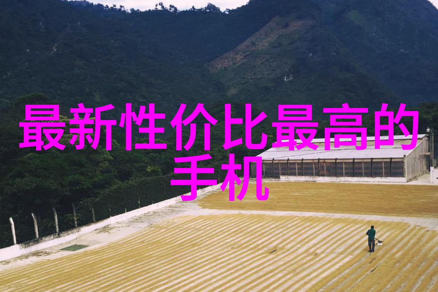 追踪案由揭秘背后的故事与原因