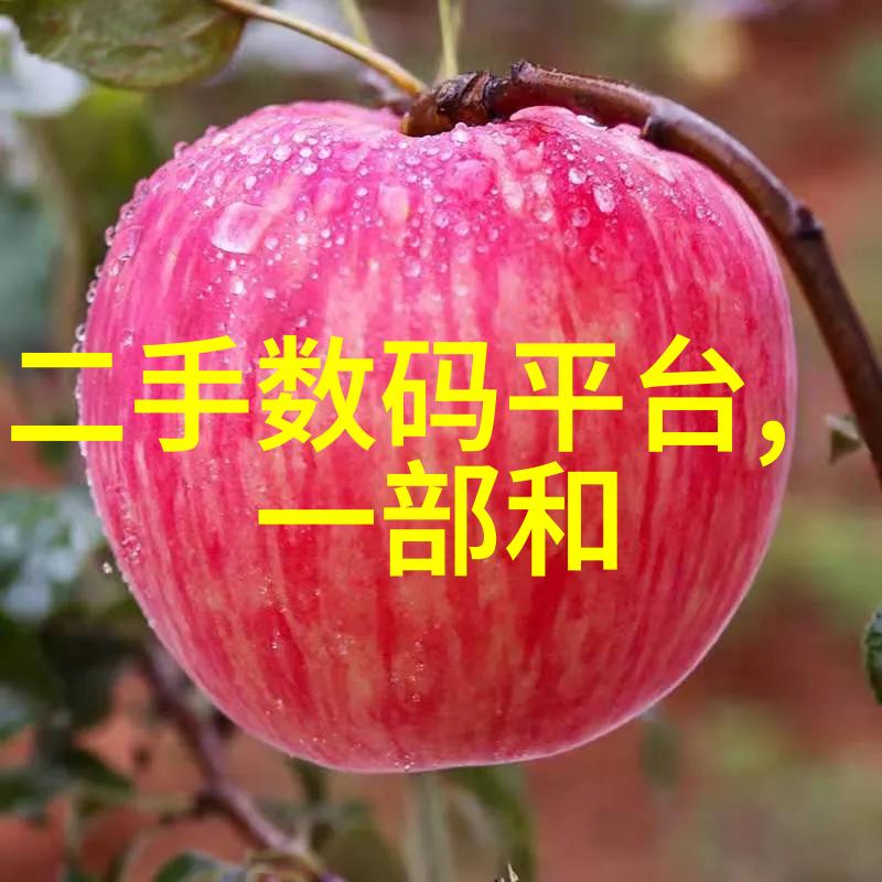 ph测试仪三大品牌-探索市场领导者