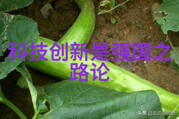 化工丸剂机械它们的原理与应用有哪些令人好奇的问题
