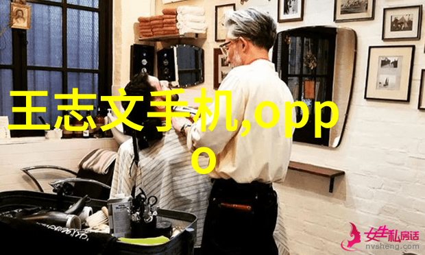 固液分离机原理剖析与安装指南理解设备运行基础与安全操作规范