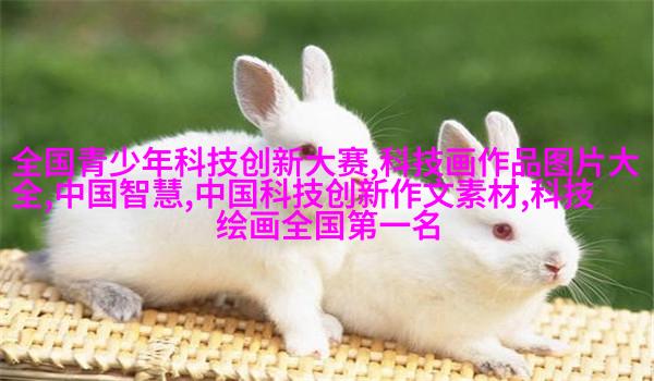 喇叭壳