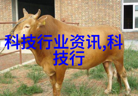 真空冷冻干燥设备我的工作神器