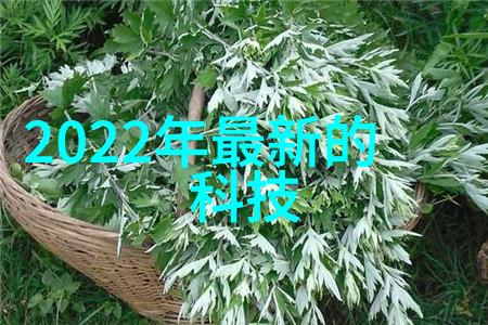 医院水处理设备我是如何确保病房里的水质安全的