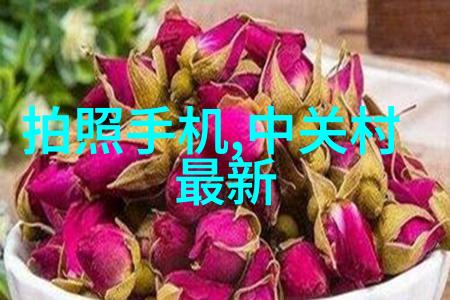 家居美学的九大法则如何运用九艺装饰提升空间风格