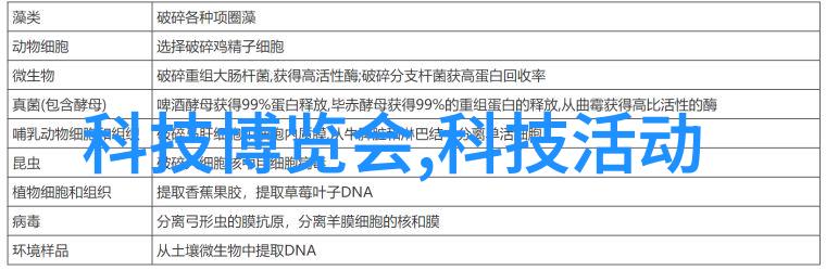家居美学探索装修设计公司如何打造个性化居住空间