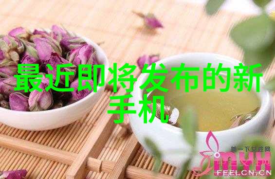 丸剂机械市场的发展趋势与前景分析