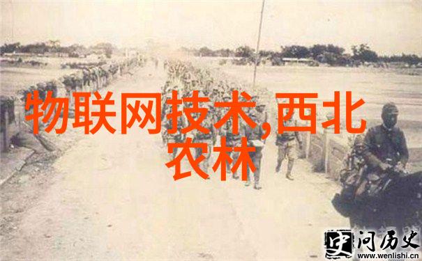 老师突发跳舞被全场关注最大视频教师热情表演成为网络红人