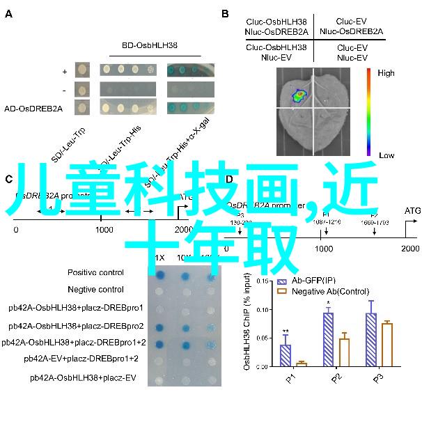 化学实验室设备高分子合成装置离子交换树脂显微镜观察台