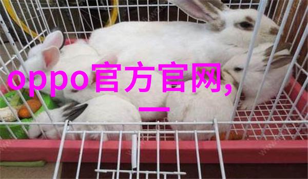 旋涡图解管式离心机的视觉诗篇