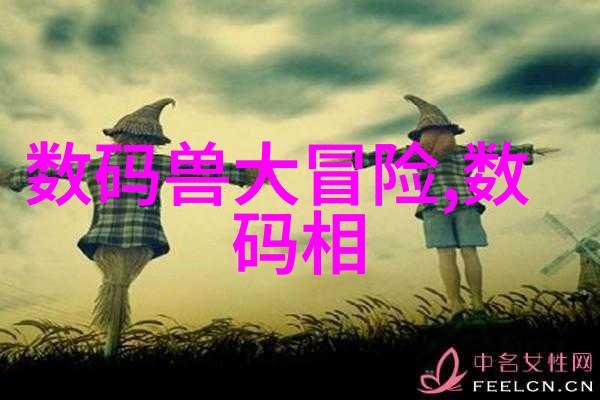 砌碎片的交响