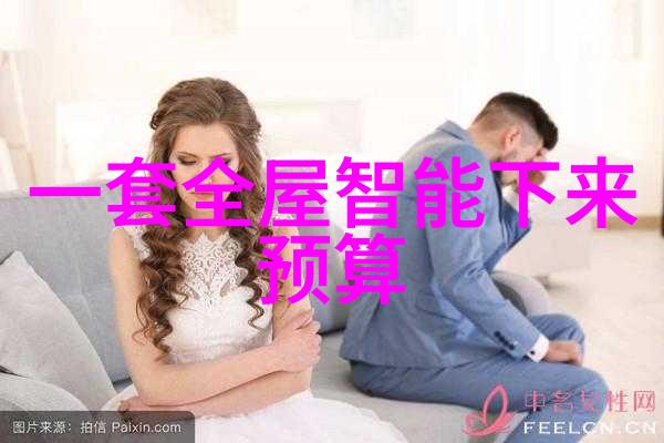 虚拟迷雾揭秘网络中的隐形织女