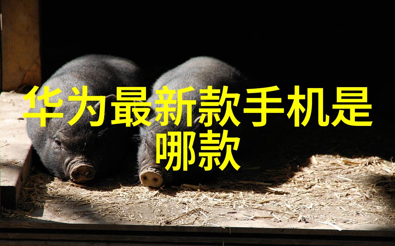 混合搅拌设备革新厨房体验