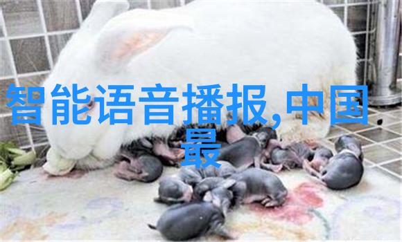 怎样检测水质是否可以饮用亲自探索我是如何判断家里的自来水可不可以直接喝的