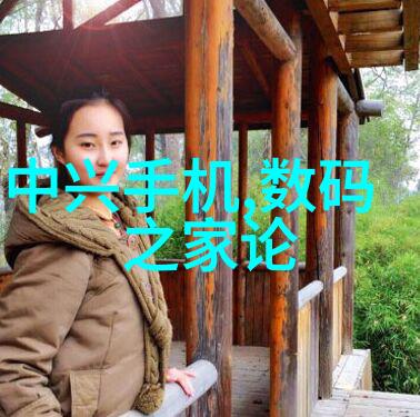 客厅空间设计的艺术创造温馨家居氛围