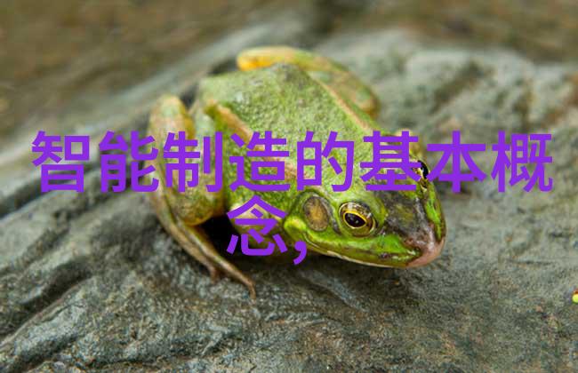 建筑工程-扣件式脚手架的稳固与灵活安全施工新标准