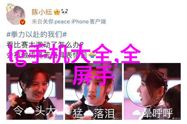 二手房贷款指南了解并优化您的二手房购置计划