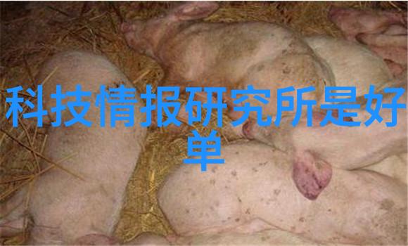 化工采购大师从零到英雄的化学物料寻宝之旅