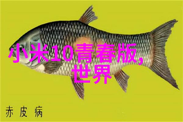机动之心汽车发动机的精髓与奇迹