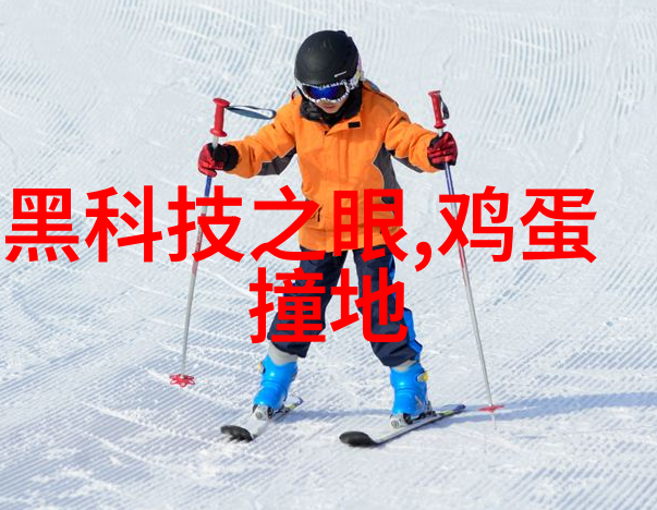 主题我是如何运用丝网波纹填料装填技巧让家居装修变得既美观又实用