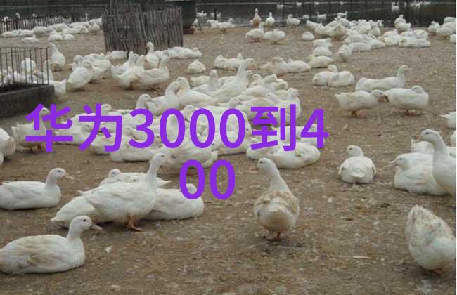 化工消毒灭菌技术的成本和效益如何权衡