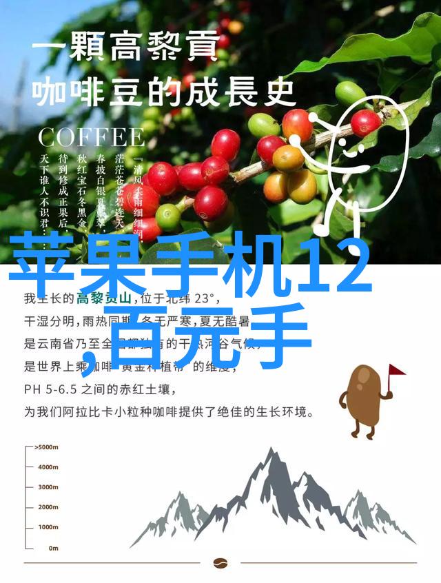 工作回顾与展望年度个人总结报告