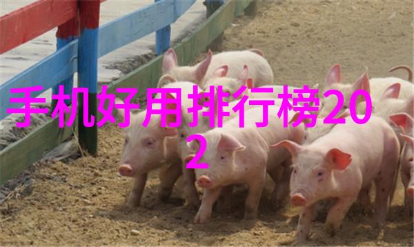 螺旋分离器在现代化工流程中的应用与优化研究