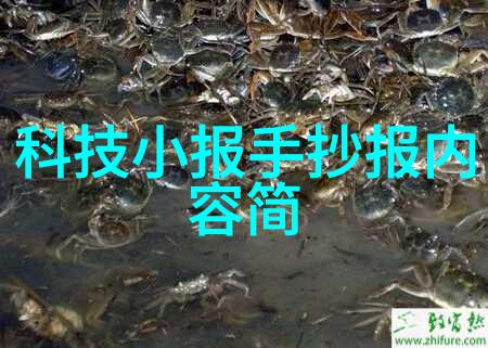 厨房门装修效果图温馨光彩的家居新篇章
