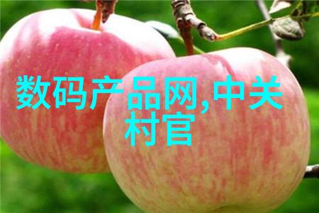 融合空间创意装修方案解析客厅与餐厅共融设计大师班