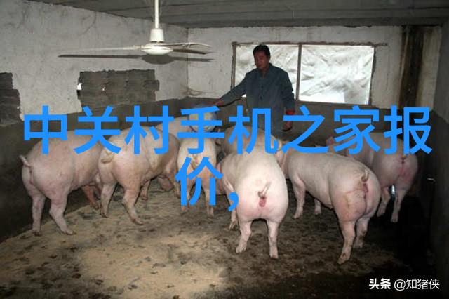 使用小型黄酒杀菌设备对传统酿造流程会有哪些影响