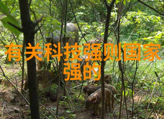 制造废水处理设备高效节能的环境友好型污水处理系统