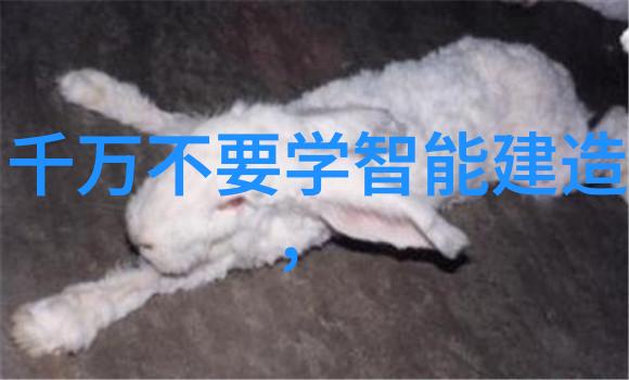 家庭生活品质提升计划卫生间厨房翻新的成本详解