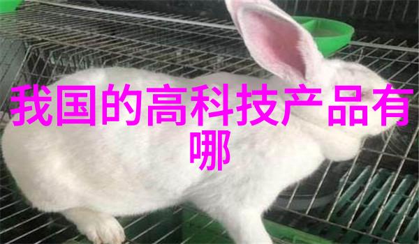 化学工艺中的反应器设计与选型策略分析