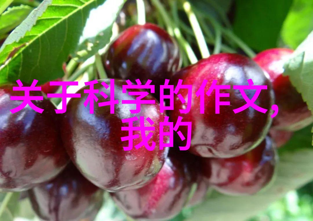 精致家居客厅装修样板图解析