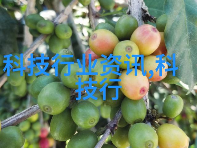 可持续发展下的科学研究回收利用机遇关于用于科研实验室的廢舊滅燒設備整理與重新啟用的經驗分享