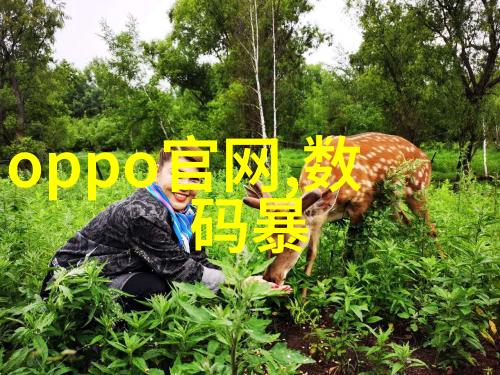 1. 什么是ldb70脉冲袋式除尘器及其工作原理