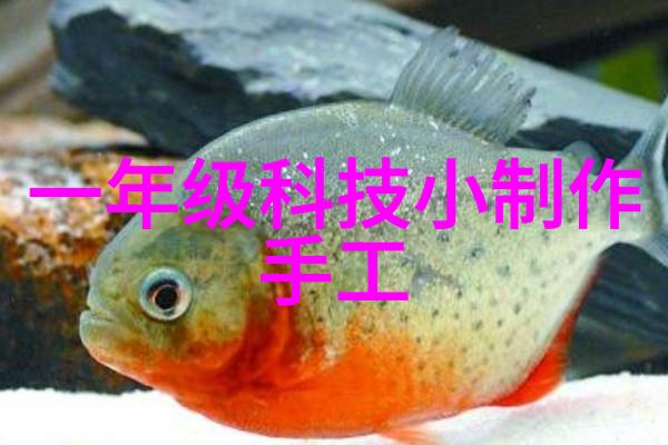 男生坤坤在女生坤坤里下的开元棋