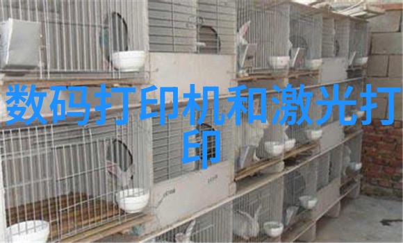 1平米超小卫生间装修我是如何在角落里打造一个既实用又温馨的小宝贝