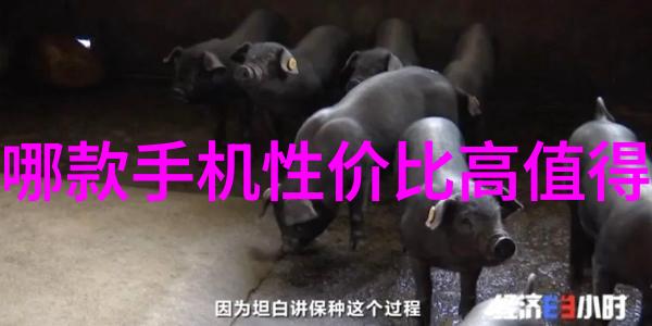 在撰写团队成员或同事的个人述职报告时是否需要特别考虑与他人合作的情况下的表达方式和风格如果是那么该怎