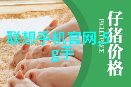 如何选择适合企业的药品外包装机械