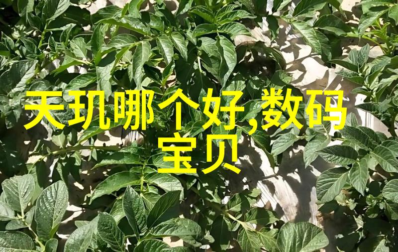 家居装饰艺术探索创意与实用之美