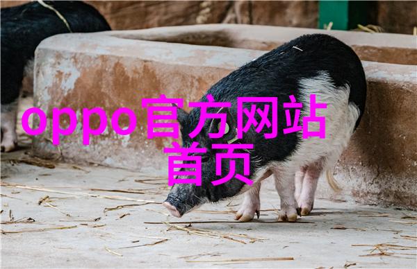 环保行动起步探索可循环再用的餐饮专用油水分離设备技术发展趋势