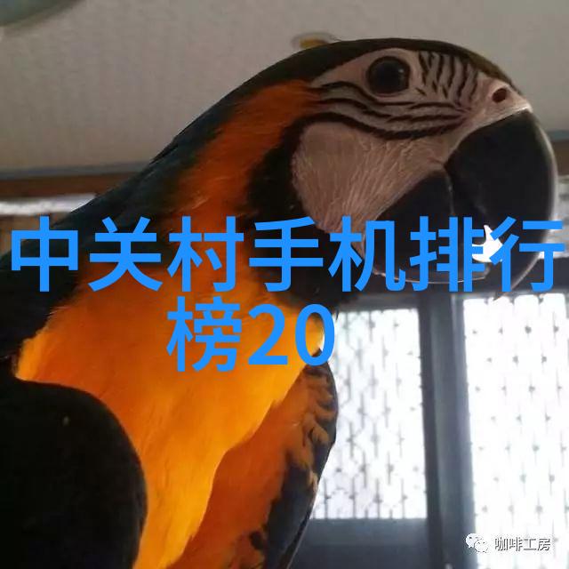 水质分析测量精确度高的溶解氧仪器与应用实例