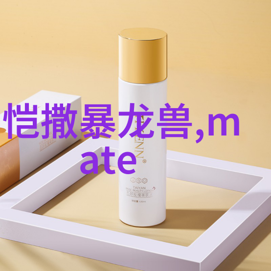 综合体油水分离设备安装指南