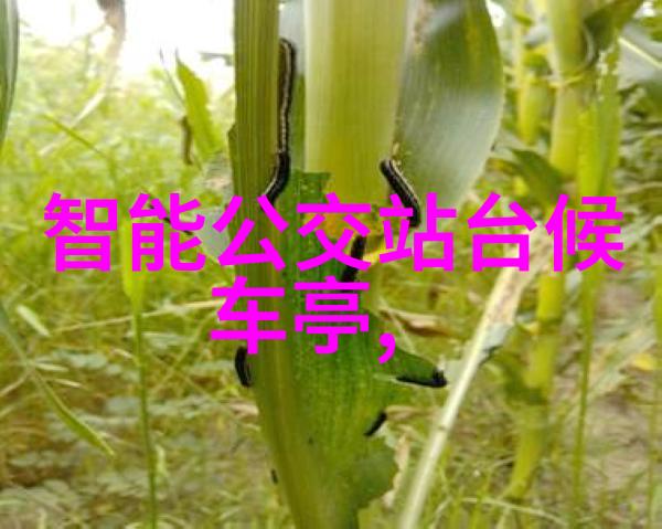 管中之韵pp-r管材的诗意编织
