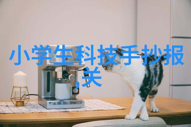 机翼之下秘密输送